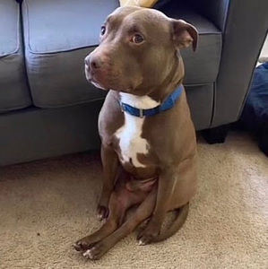 Meet your Posher, Maribel